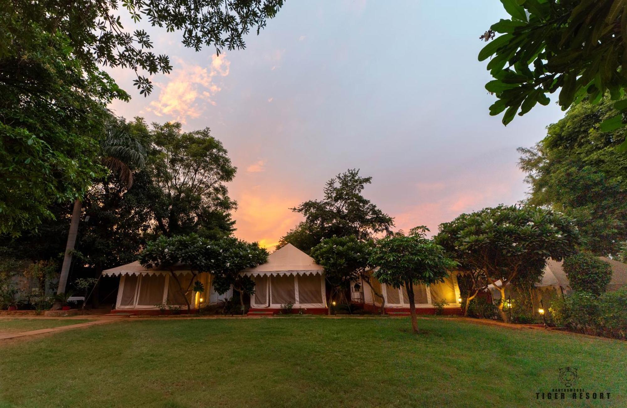 Ranthambore Tiger Resort Sawai Madhopur Εξωτερικό φωτογραφία